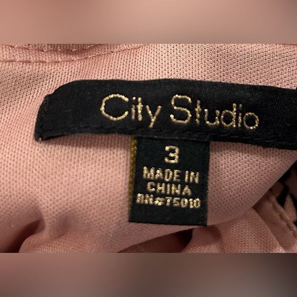 Blush and Black Floral Dress - Junior size 3 - Picture 4 of 9